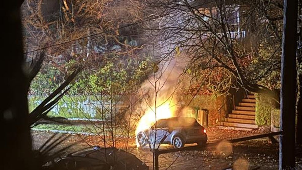 Fallen tree knocks out power for customers in NE Portland, downed lines ...