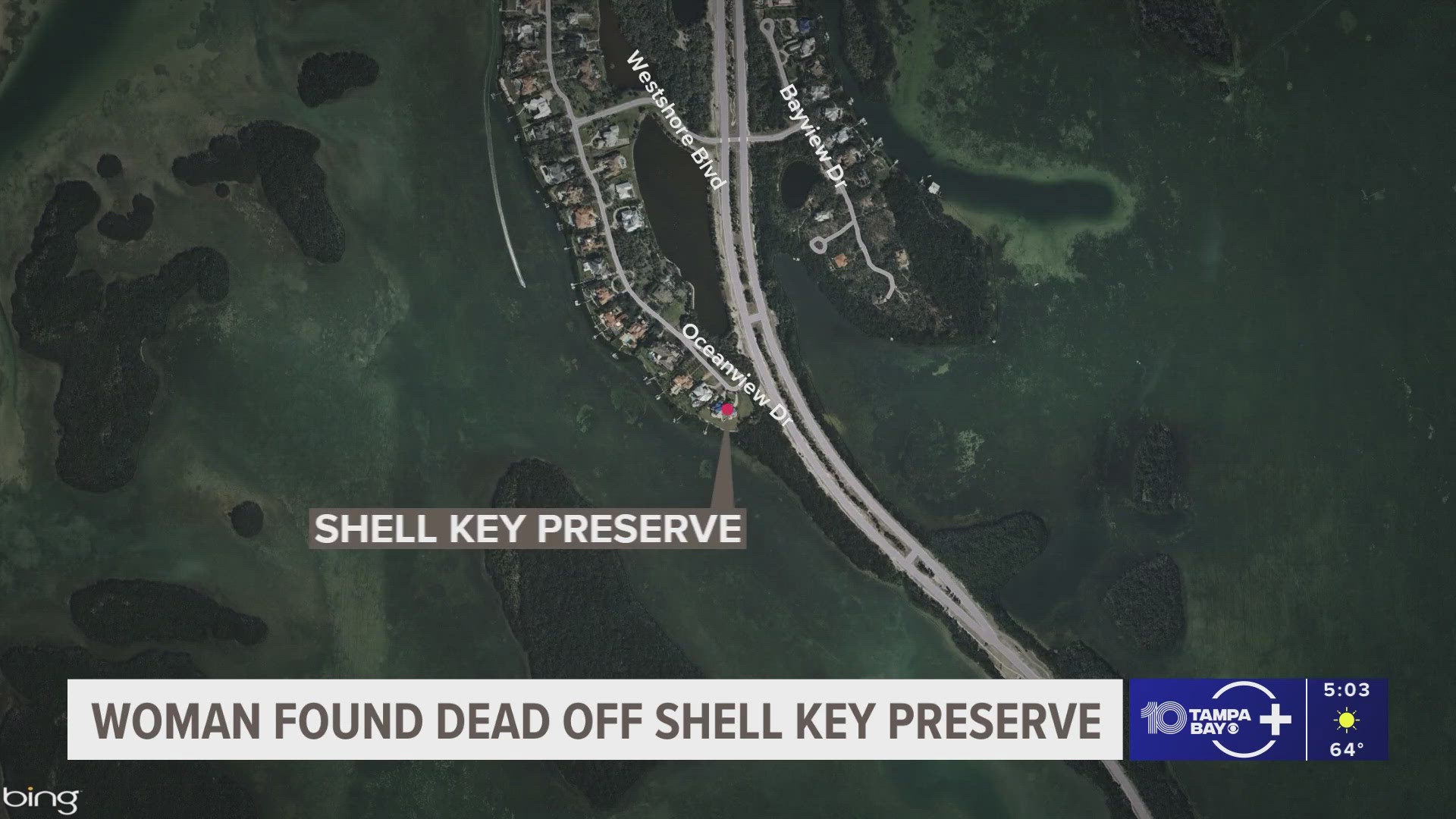 Woman found dead off of Shell Key Preserve, deputies say