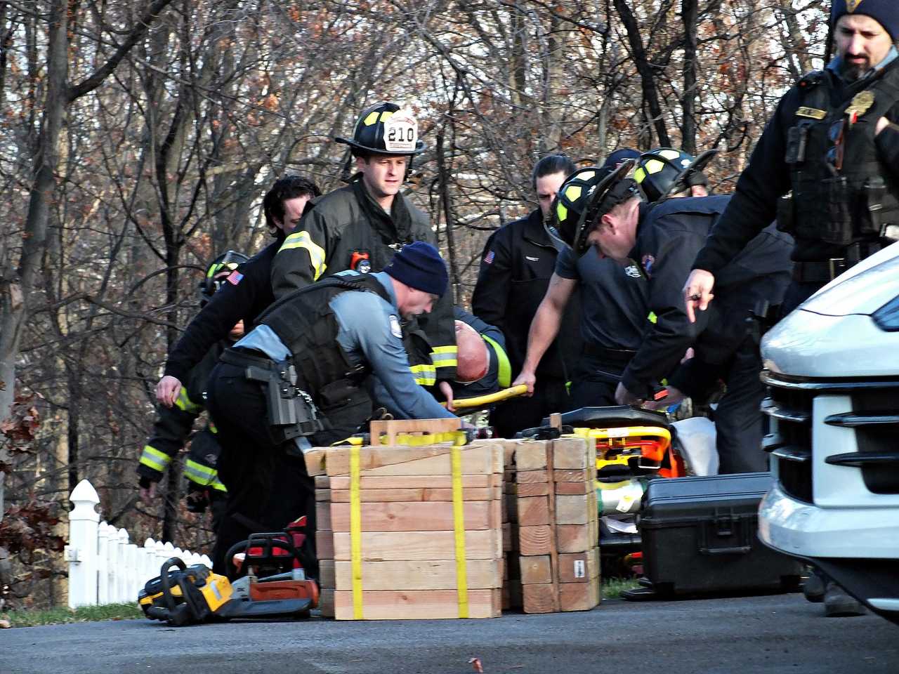 Elderly Man Pinned Under Fallen Tree Rescued By Ridgewood First ...