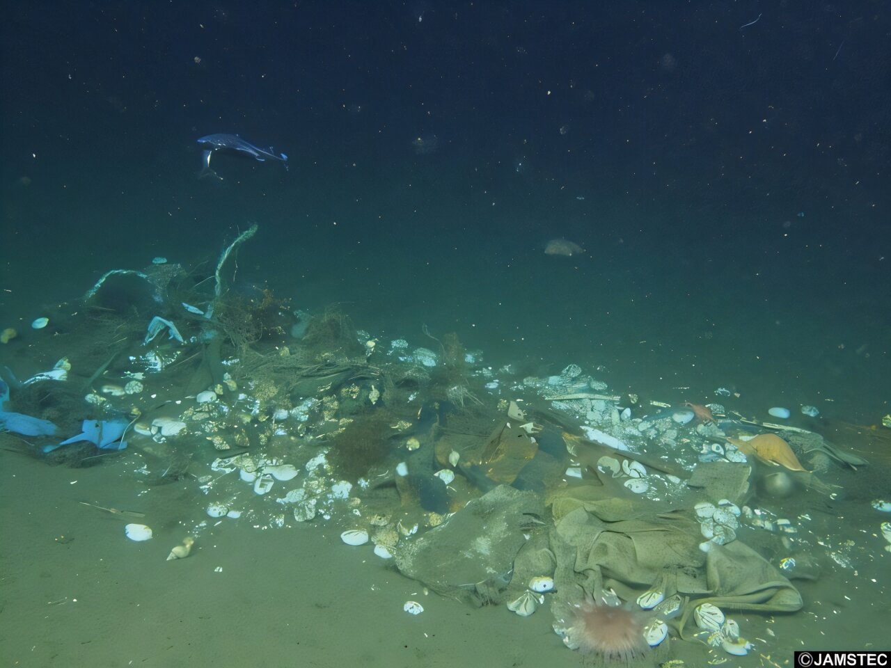 global-plan-outlines-steps-to-monitor-and-reduce-marine-litter-worldwide