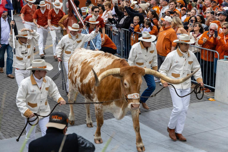 Nielsen: Texas Longhorns one of the most-watched college football teams ...