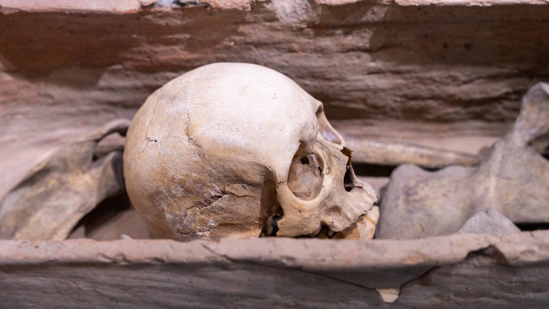 1500 Jahre alter quadratischer Schädel entdeckt: Forscher ziehen ...