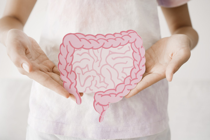 Probiotik dan Kekebalan Tubuh: Rahasia Mekanisme Mikroba Baik