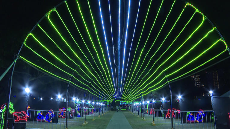 On the eve of Honolulu City Lights, hundreds flock to new free city ...
