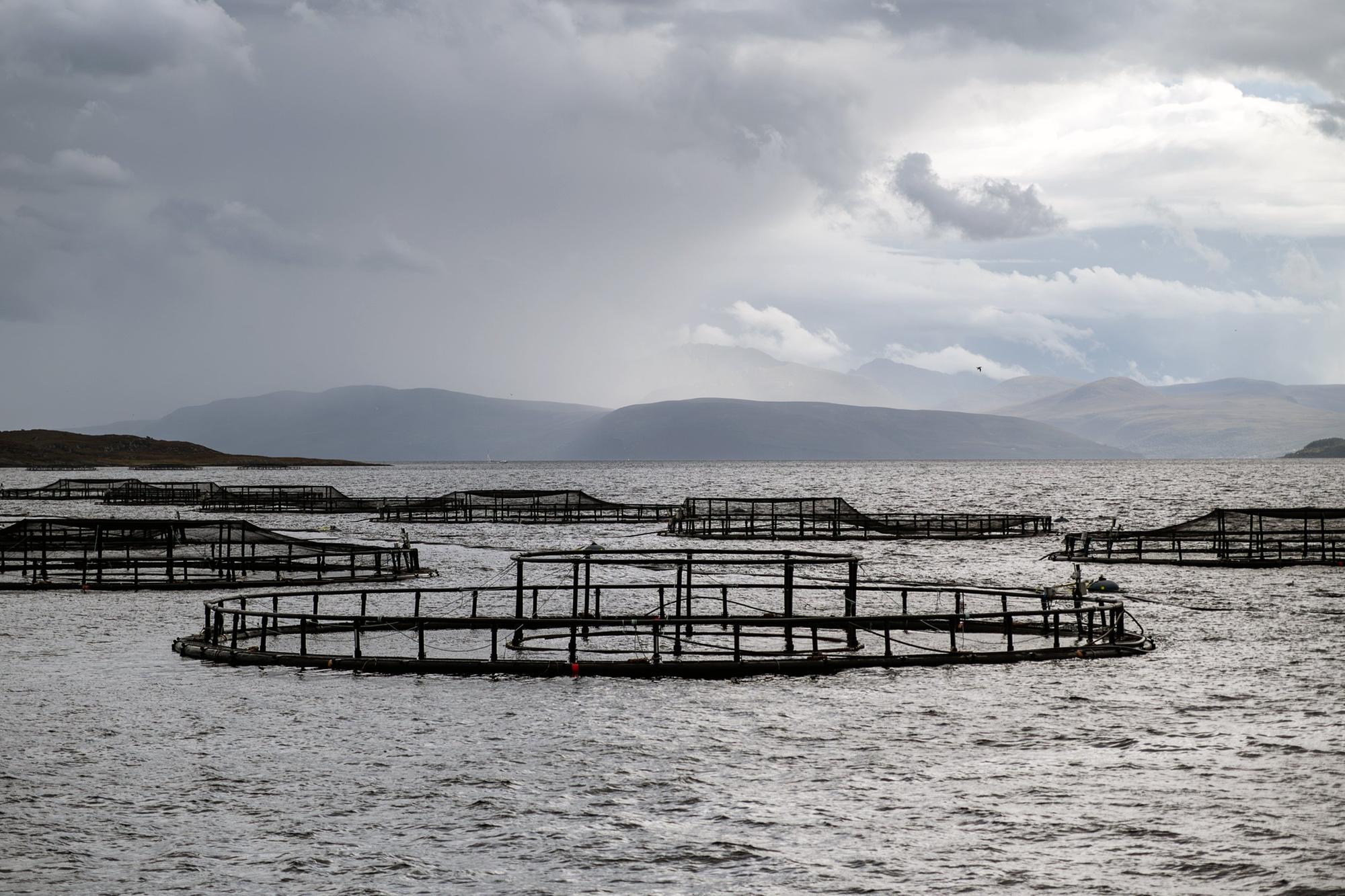 Fish farm would be “biggest ever loss to fishing industry”
