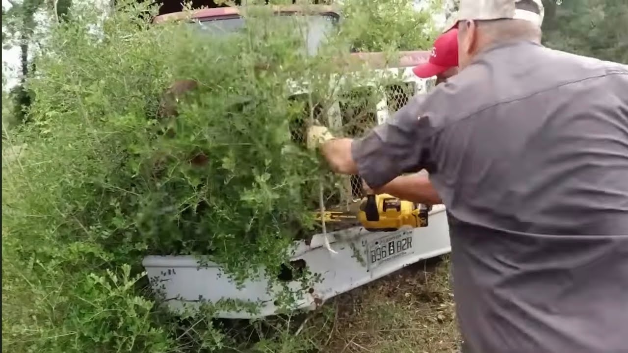 Clearing Trees to Reach an Abandoned Mack Truck