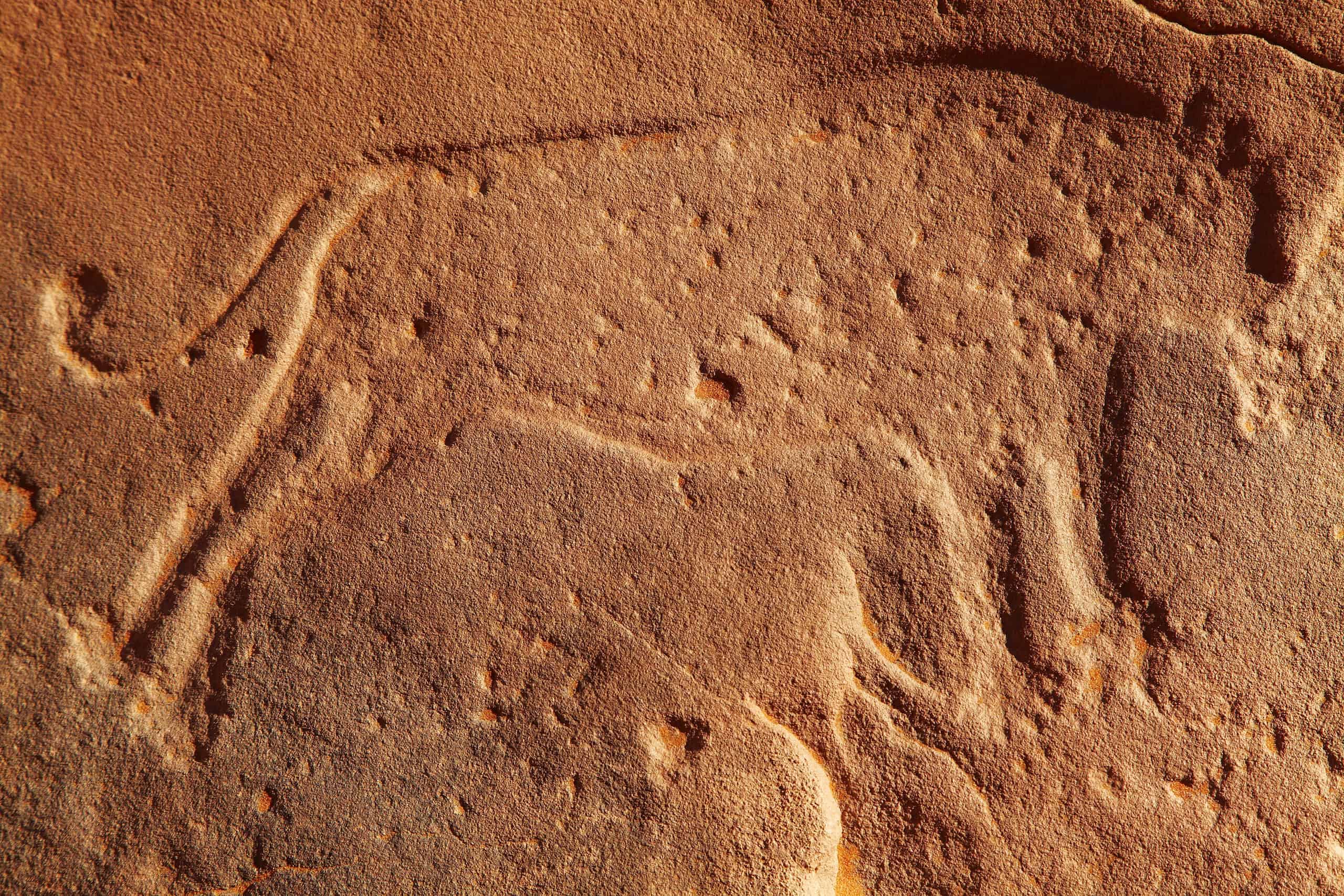 The Insane Detail in This 35,000-Year-Old Cave Art is a Sight to Behold