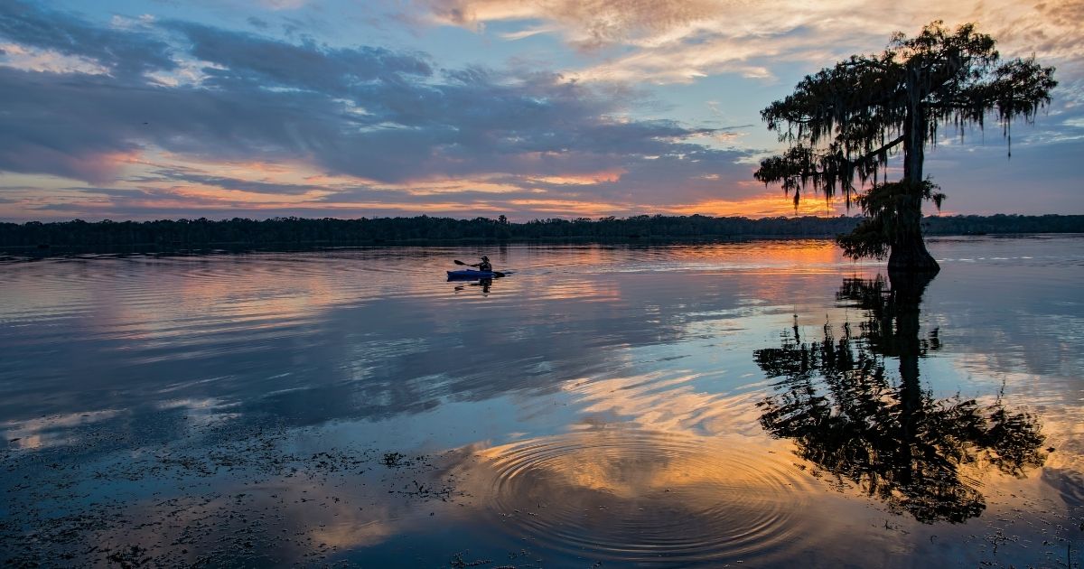 WEIRD FACTS ABOUT LOUISIANA intelligence overview