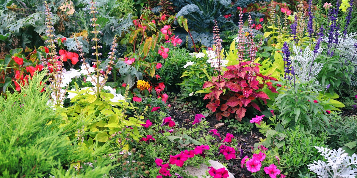 These Are the Best Shade-Loving Flowers and Plants for Your Yard