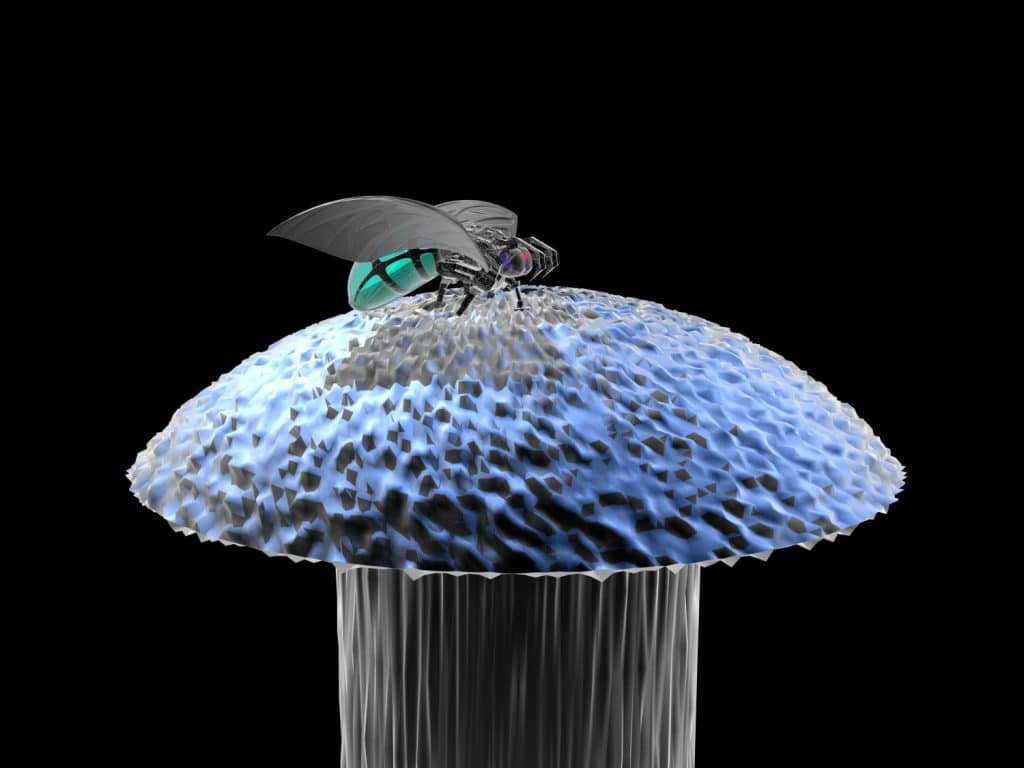 nanotechnology tiny robots or nanobots