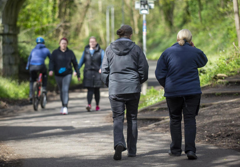 Edinburgh North-South tramline: 'Multiple other routes to assess' say ...