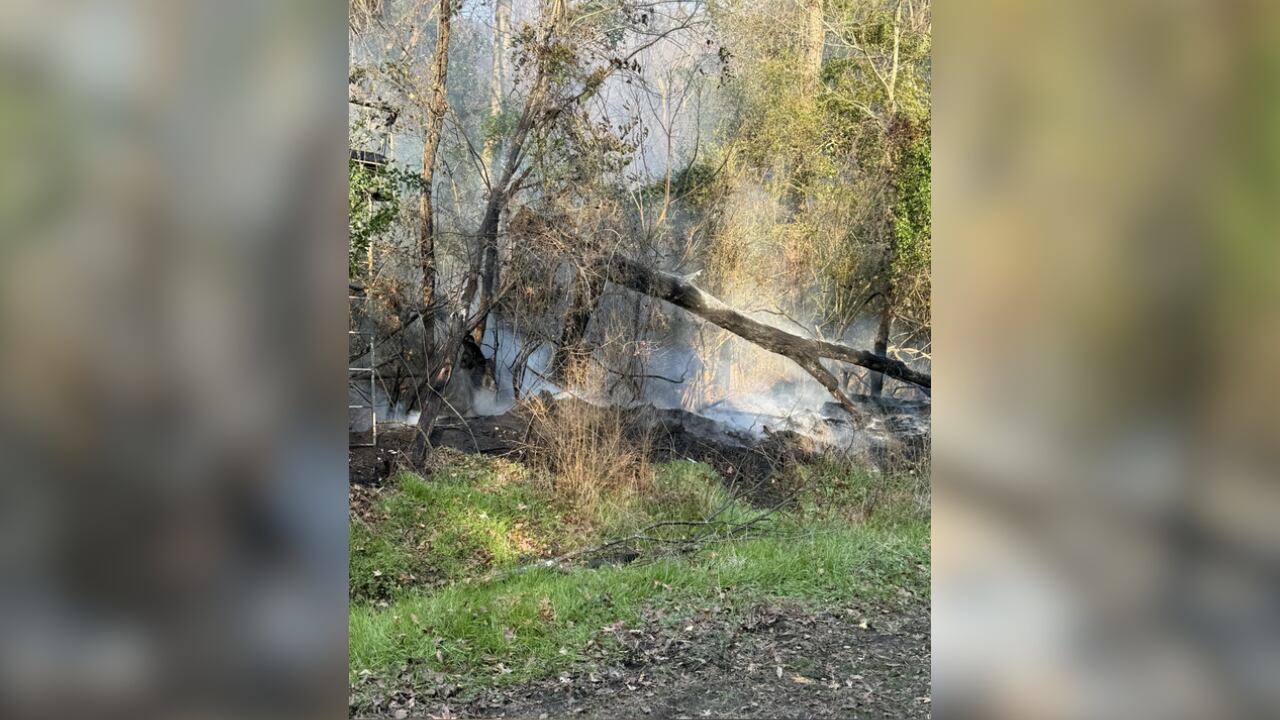 Fire crews respond to large woods fire in Florence County