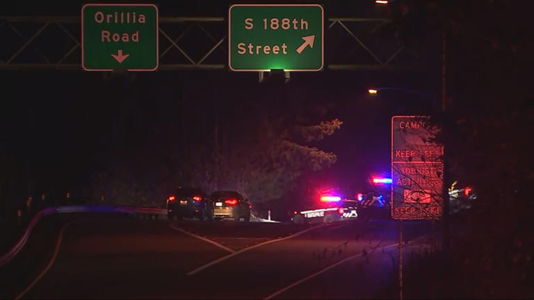 Suspect taken into custody after shots fired at officers in South Seattle
