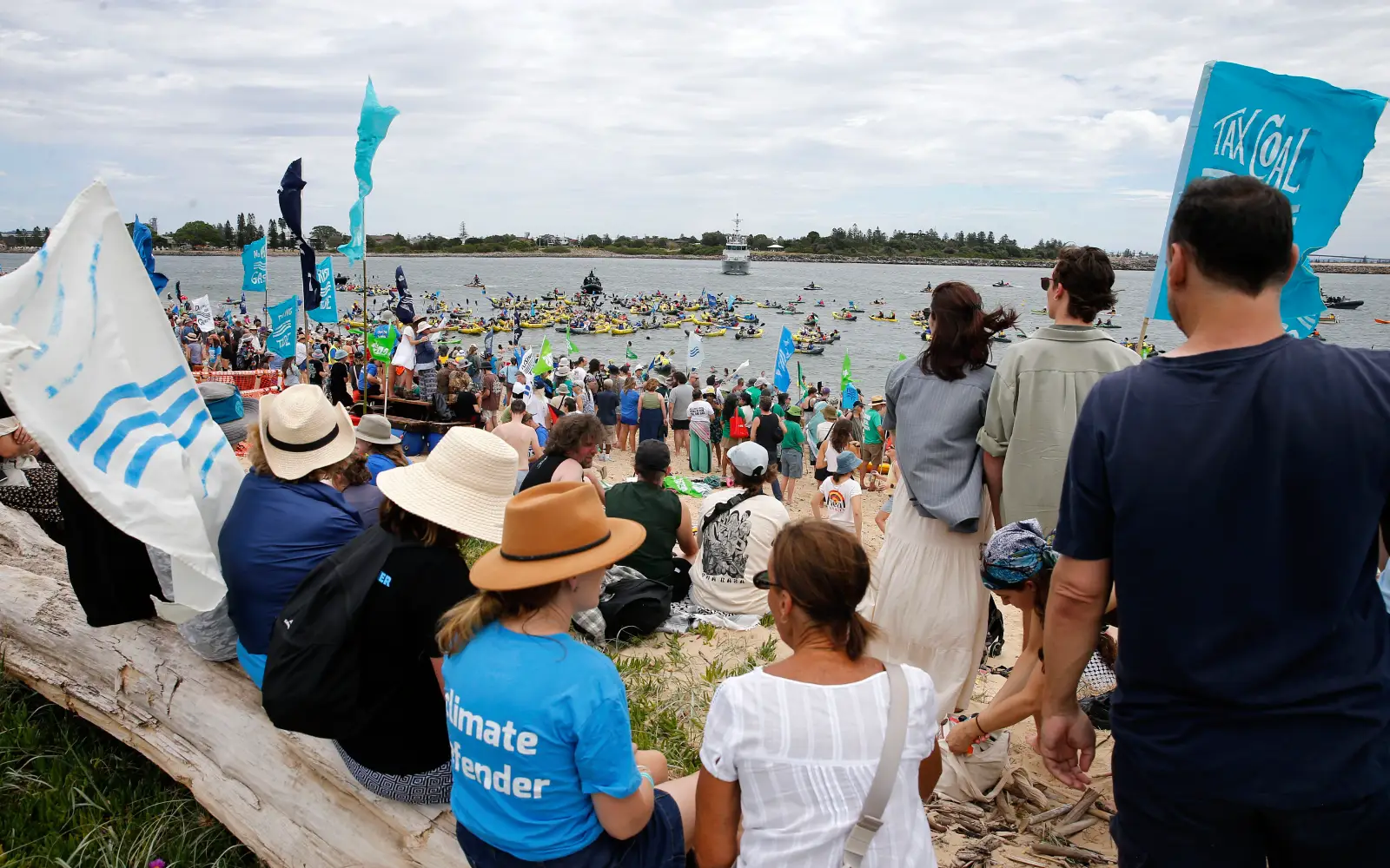 Australia arrests dozens in coal port protest
