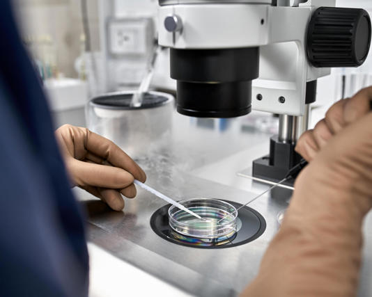 Some couples are needlessly going through IVF as NHS fails to diagnose treatable cases. Photograph: Andriy Bezuglov/Alamy