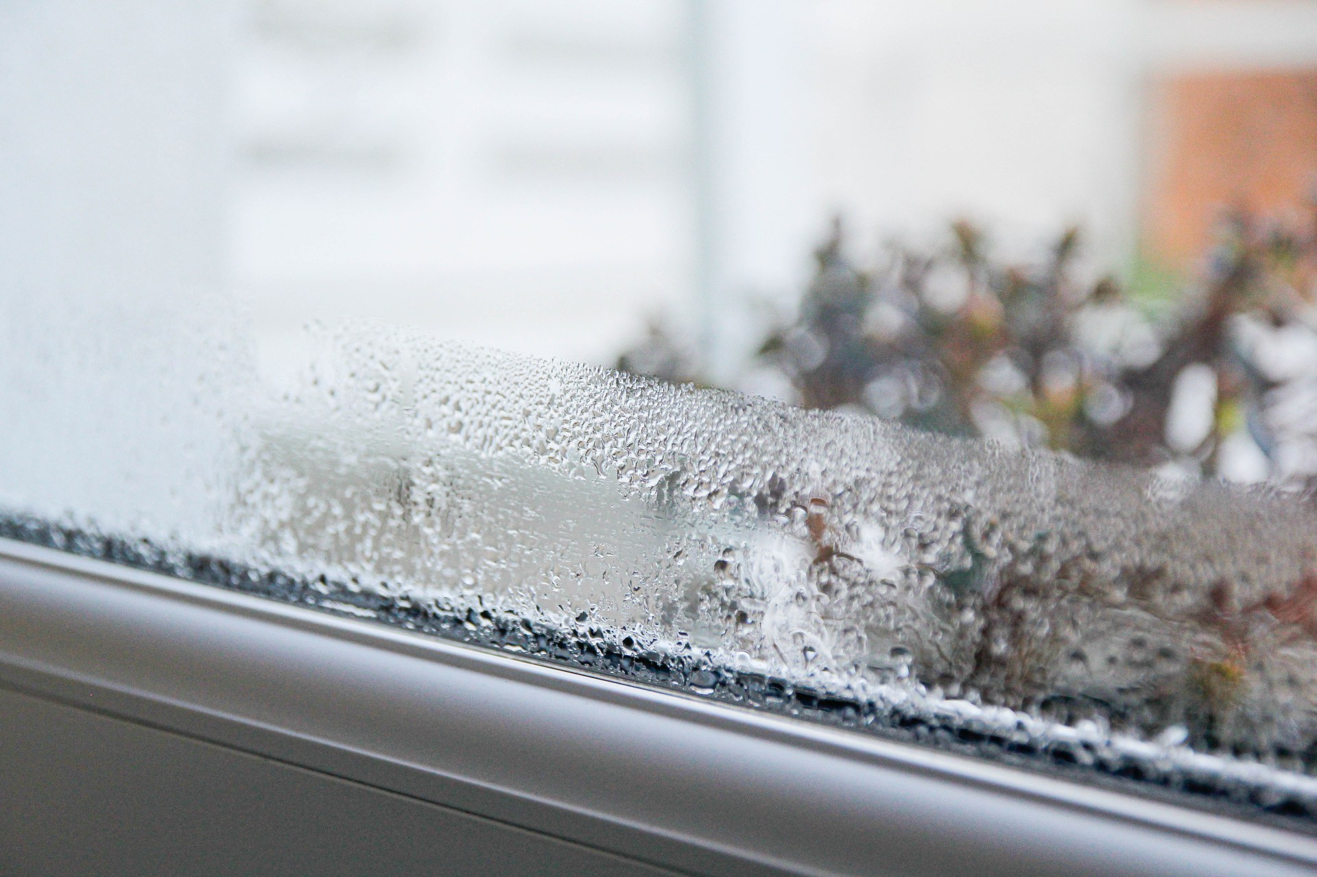 'House burping': A free trick to fight damp and mould