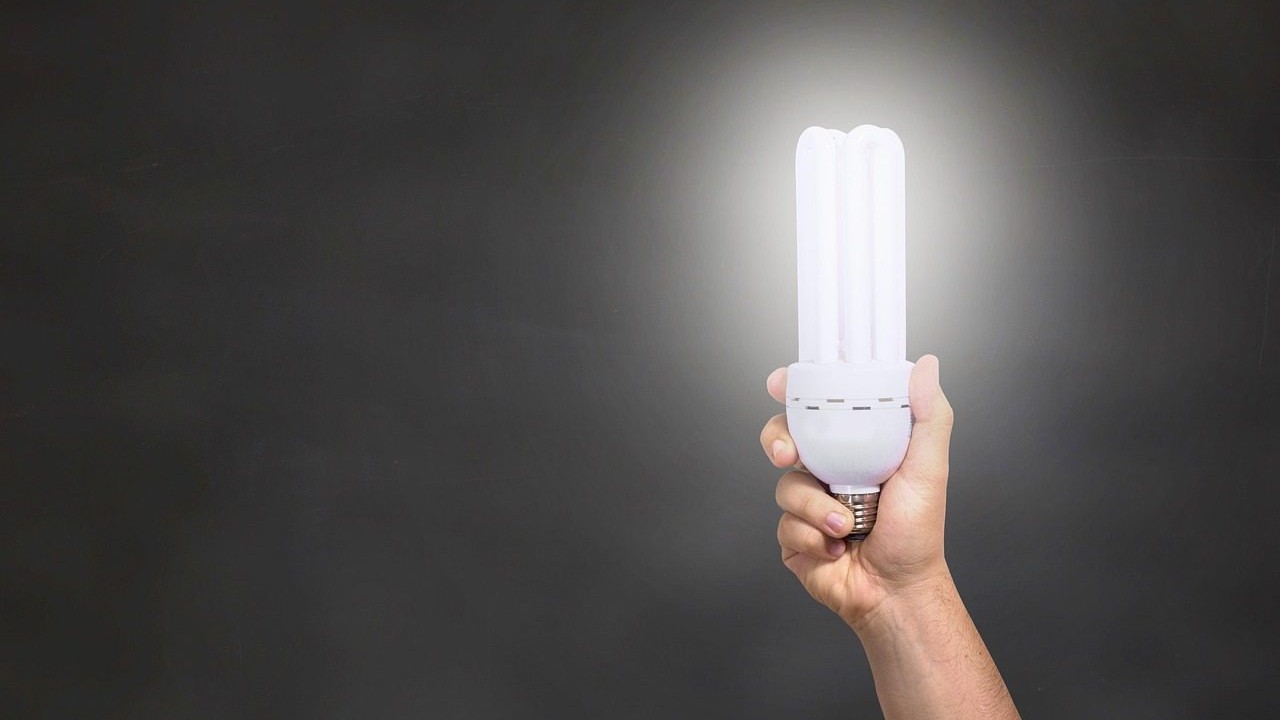 The Budget-Friendly Upgrade That Makes Any Home Greener