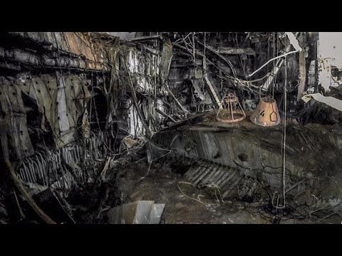 Chernobyl Fungus Appears to Have Evolved an Incredible Ability
