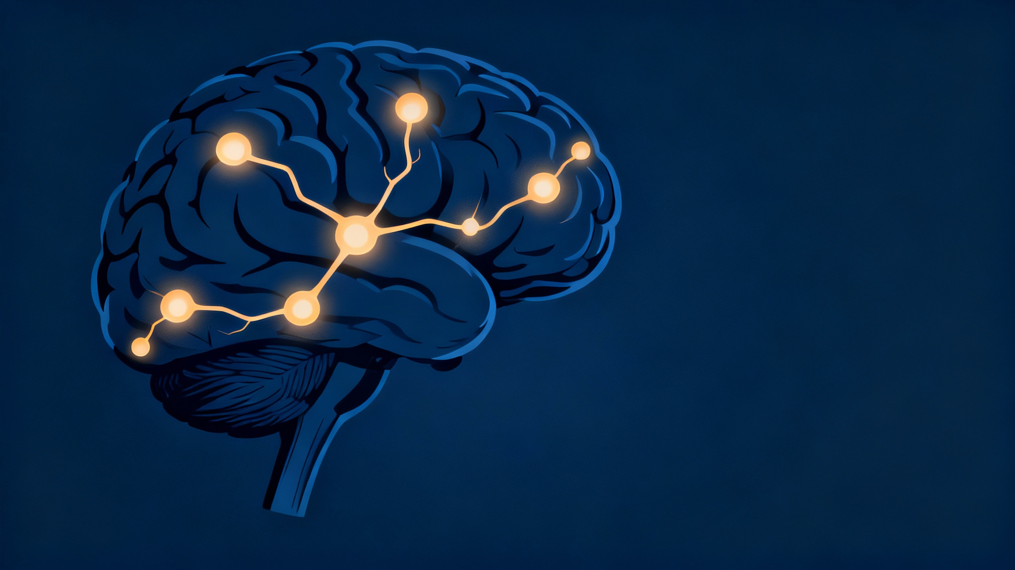 Alzheimer : Une découverte sur le cerveau pourrait ouvrir la voie à de ...