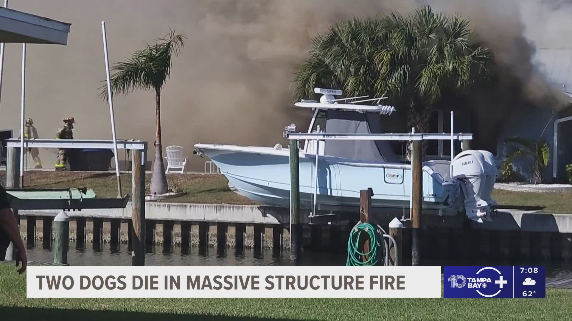 2 dogs dead after Sarasota house fire, investigation underway