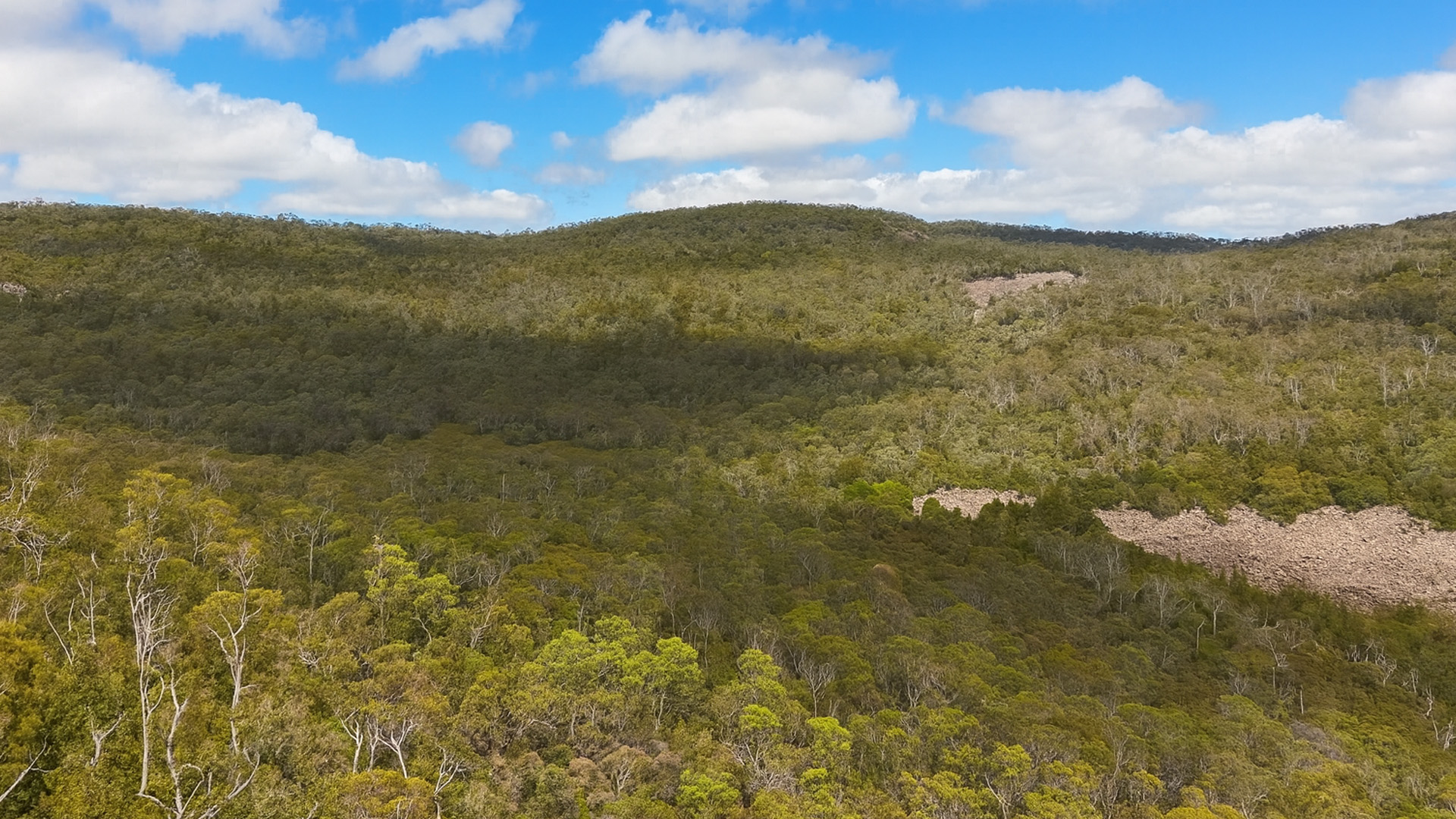 the-wild-heart-of-tasmania