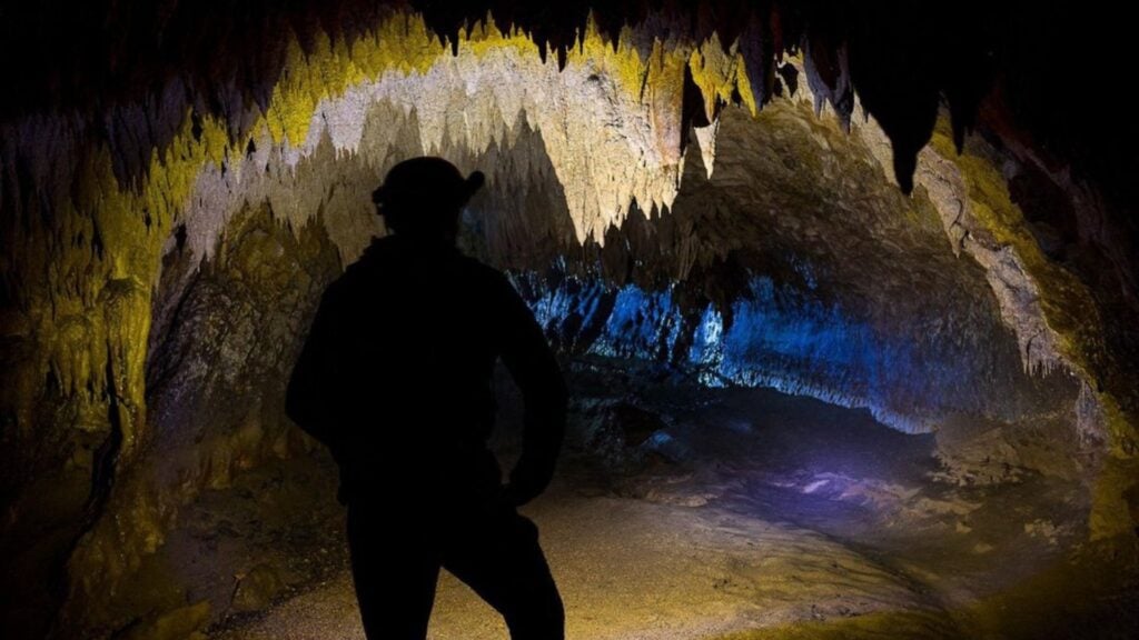 Newly Found Ecosystems Hidden Underground