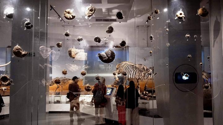 AA1RrHjf - Info Malang Raya