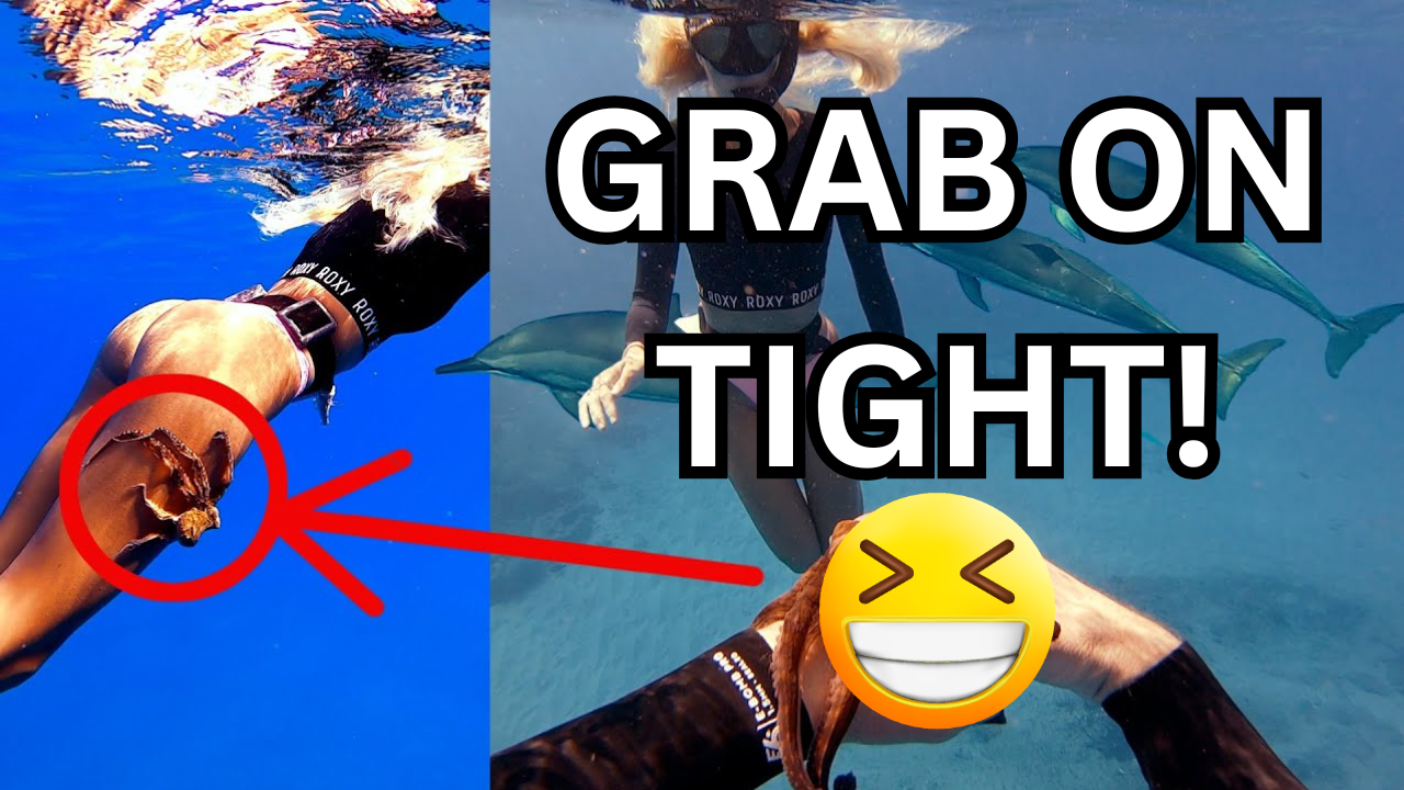 Wild Octopus Encounter — You Won’t Believe How Tight It Grabbed On!