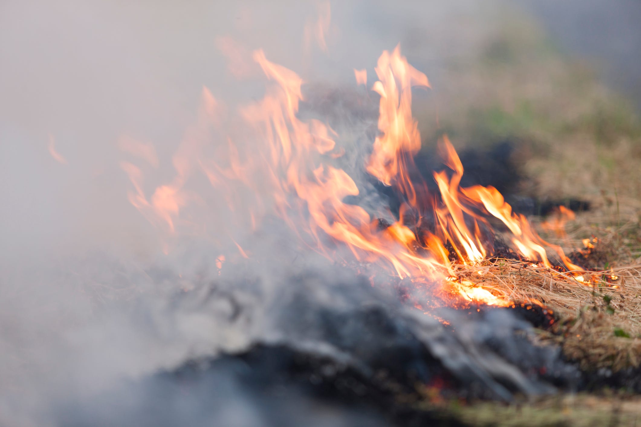 Two dead, 10 displaced in Wilmington Island fire Sunday morning