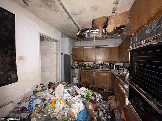 London mews house swallowed by hedge is listed for nearly £1M... (but ...
