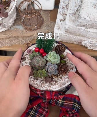 いいー！かわいい！」多肉植物好き主婦→クリスマスに向けて作った