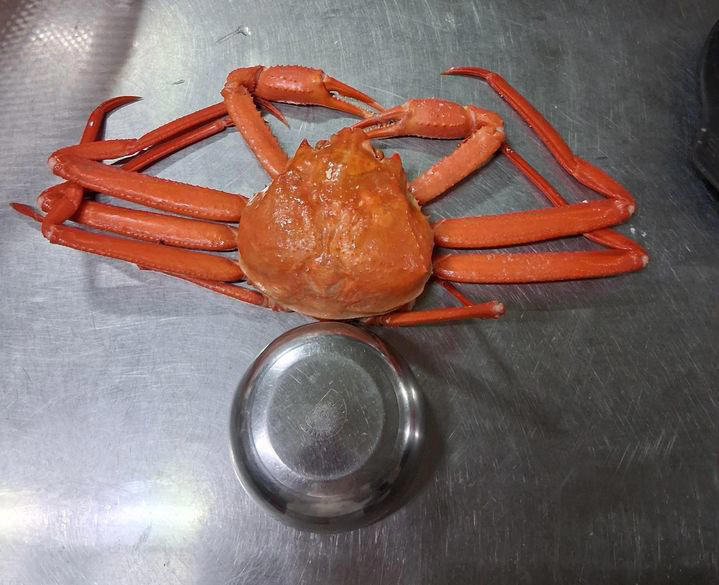 [뉴시스]속초에서 지인을 통해 배달 주문한 홍게의 크기. (사진 = 보배드림 캡처) *재판매 및 DB 금지