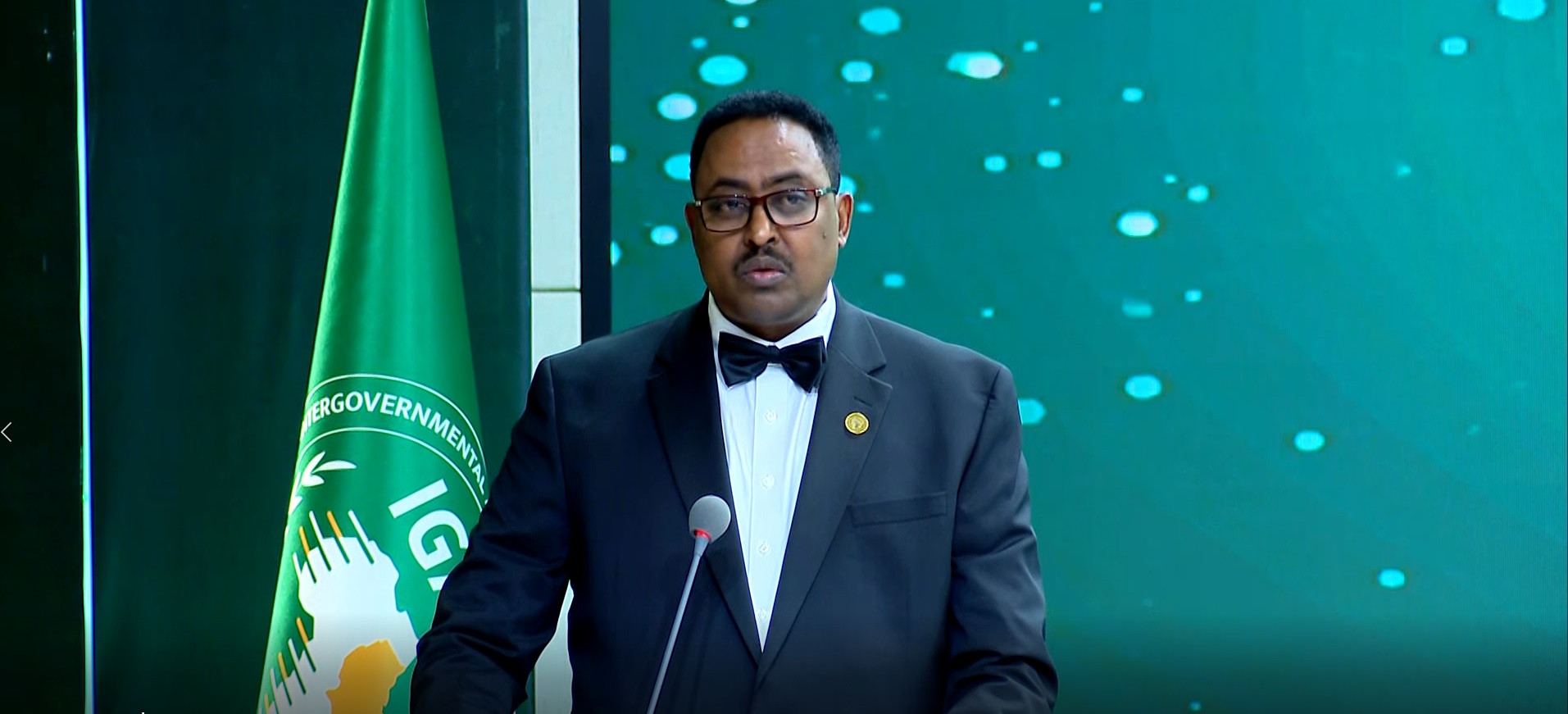 IGAD Media Awards 2025 Celebrates Journalistic Excellence –IGAD ...