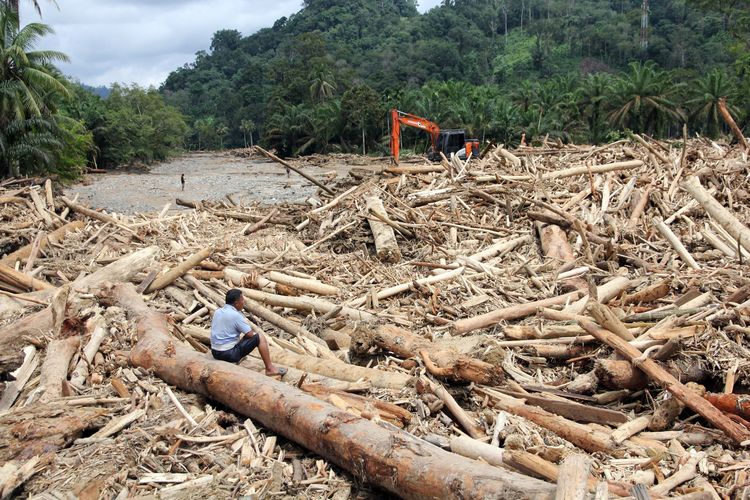 Teka-Teki Kayu Terbawa Banjir di Sumatera, Milik Siapa?