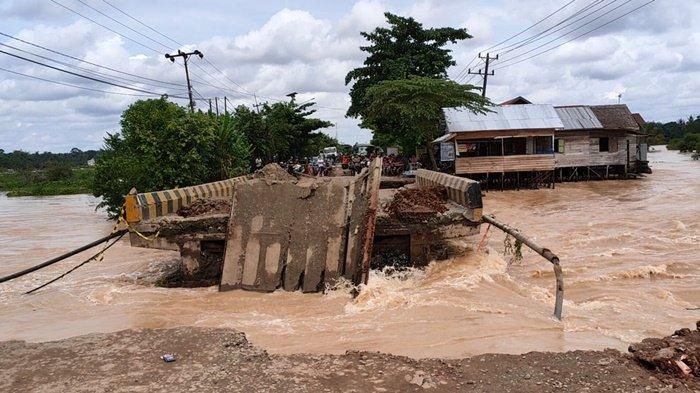 Apakah Kelapa Sawit Menyerap Karbon Dioksida? 4 AA1Rs3Ug