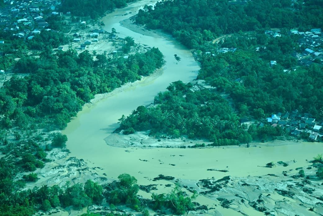 Benarkah Hutan Industri Picu Banjir Sumut? Seberapa Parah Kerusakan?