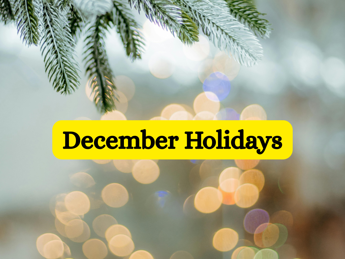 december-2025-school-holidays-winter-vacation-christmas-and-more