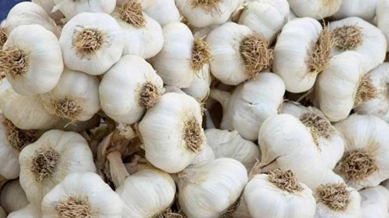 What happens when you eat 2 garlic cloves every morning?
