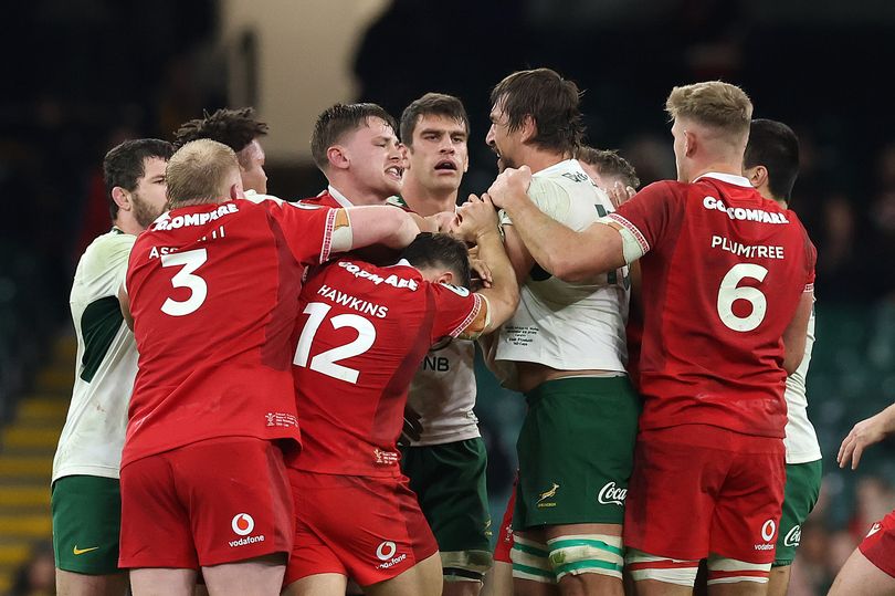 Eben Etzebeth facing months out of rugby as World Rugby directive emerges