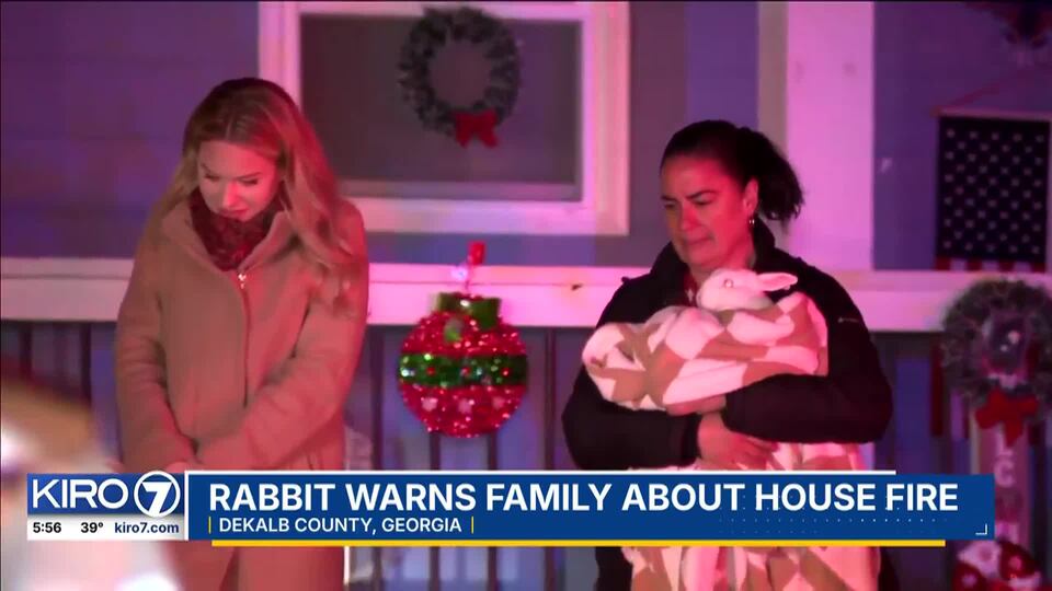 VIDEO: Rabbit saves family from house fire