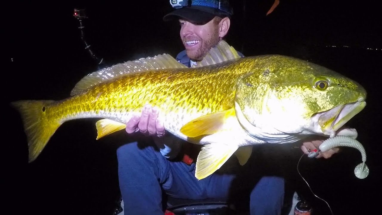 This is how we found big Pike in New Mexico