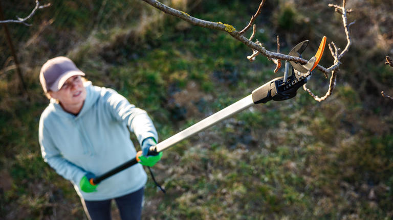 Garden Shears Vs Pruners: What's The Difference And Which Is Right For ...