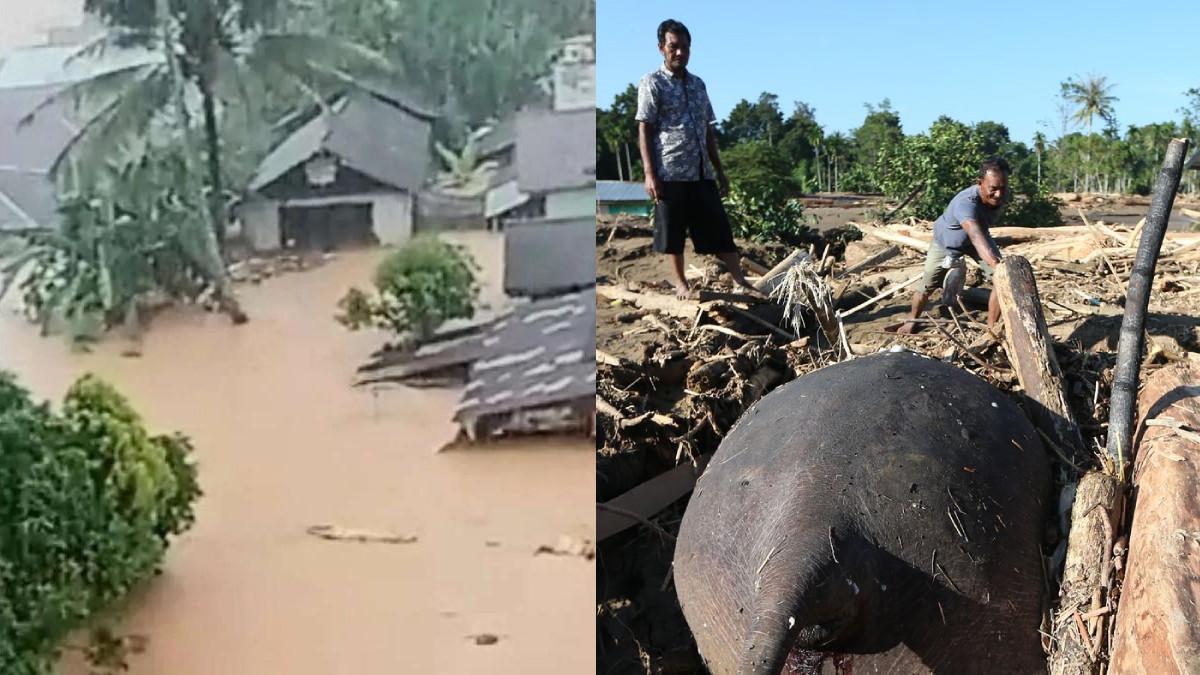 Zulkifli Hasan Akui Kerusakan Alam Perparah Banjir Sumatera: Tindakan Kita Jadi Penyebab