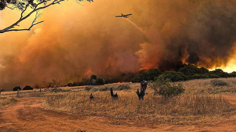 ‘Appalling’: Arson suspected in vicious bushfire