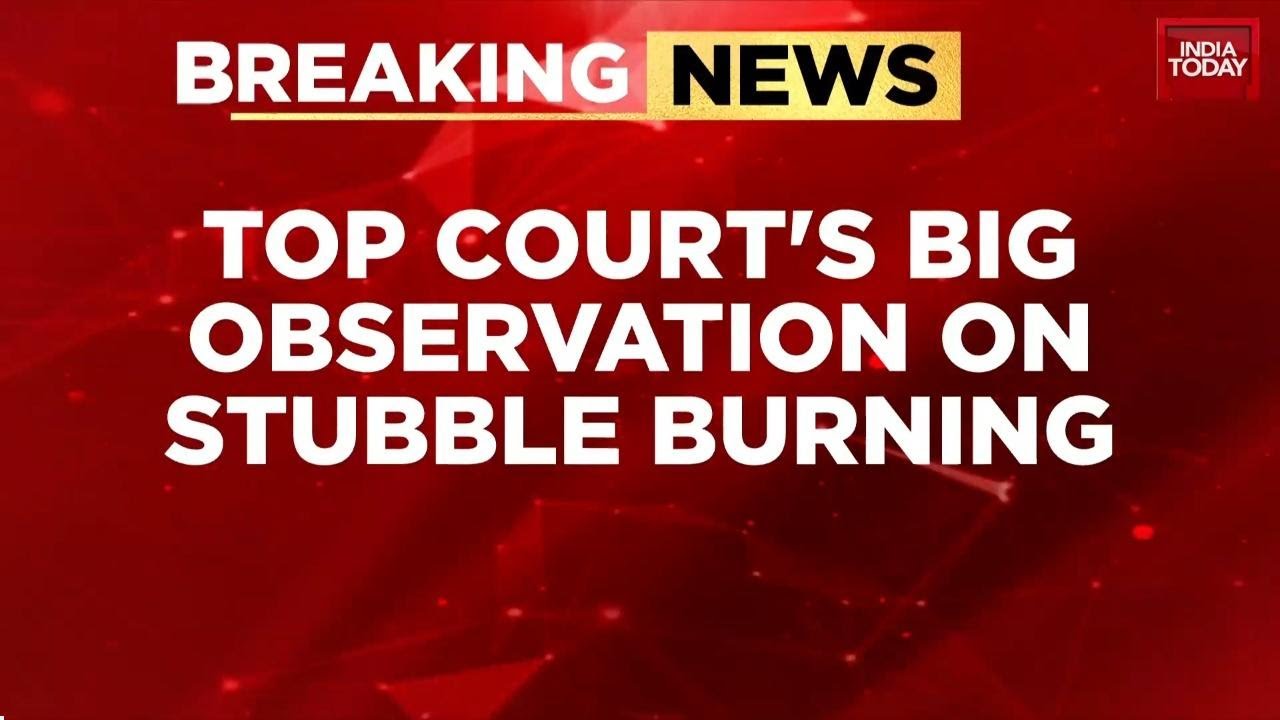 Supreme Court Backs Farmers On Stubble Burning, Questions Authorities ...