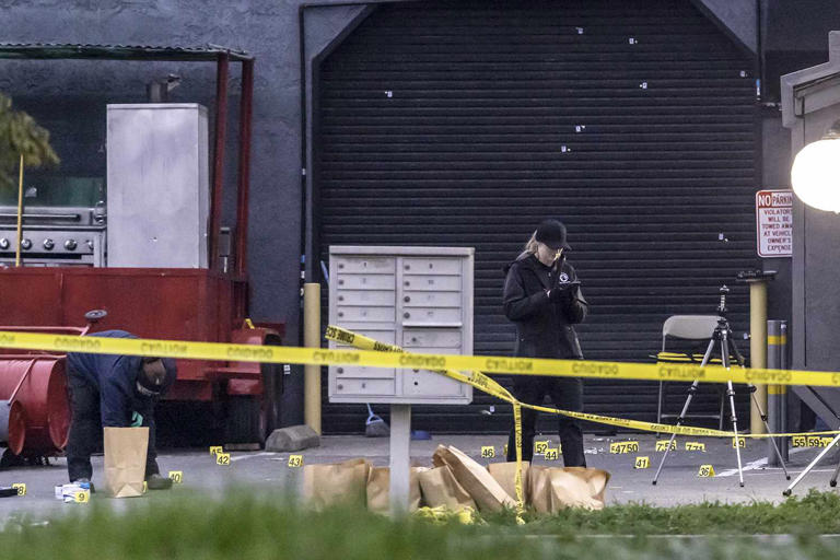 3 Children Among 4 People Killed in Mass Shooting at Kids' Birthday ...