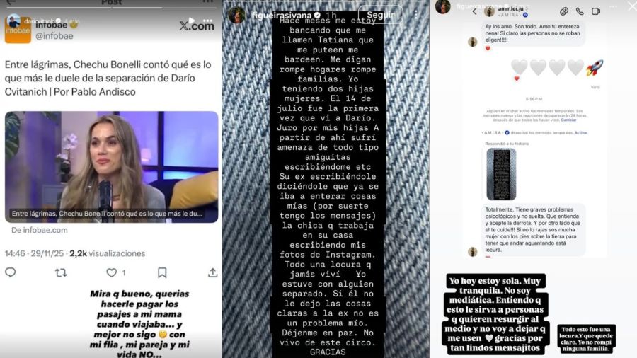 Revelaron el verdadero motivo por el que Ivana Figueiras dejó a Darío ...