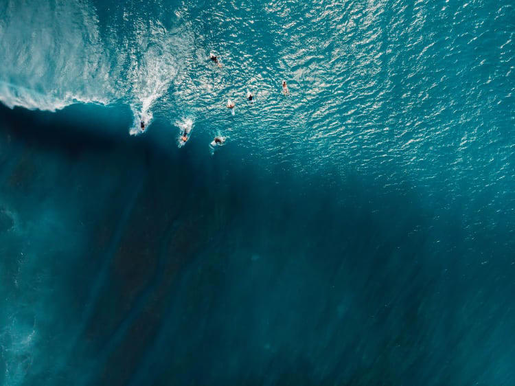8 Common Beginner Mistakes in Surfing (And How You Can Fix Them)