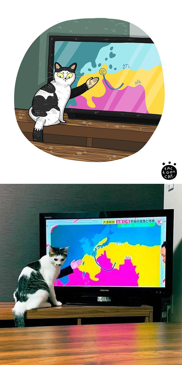 29 Of The Funniest Internet-Famous Cat Pics Get Illustrated By Tactooncat