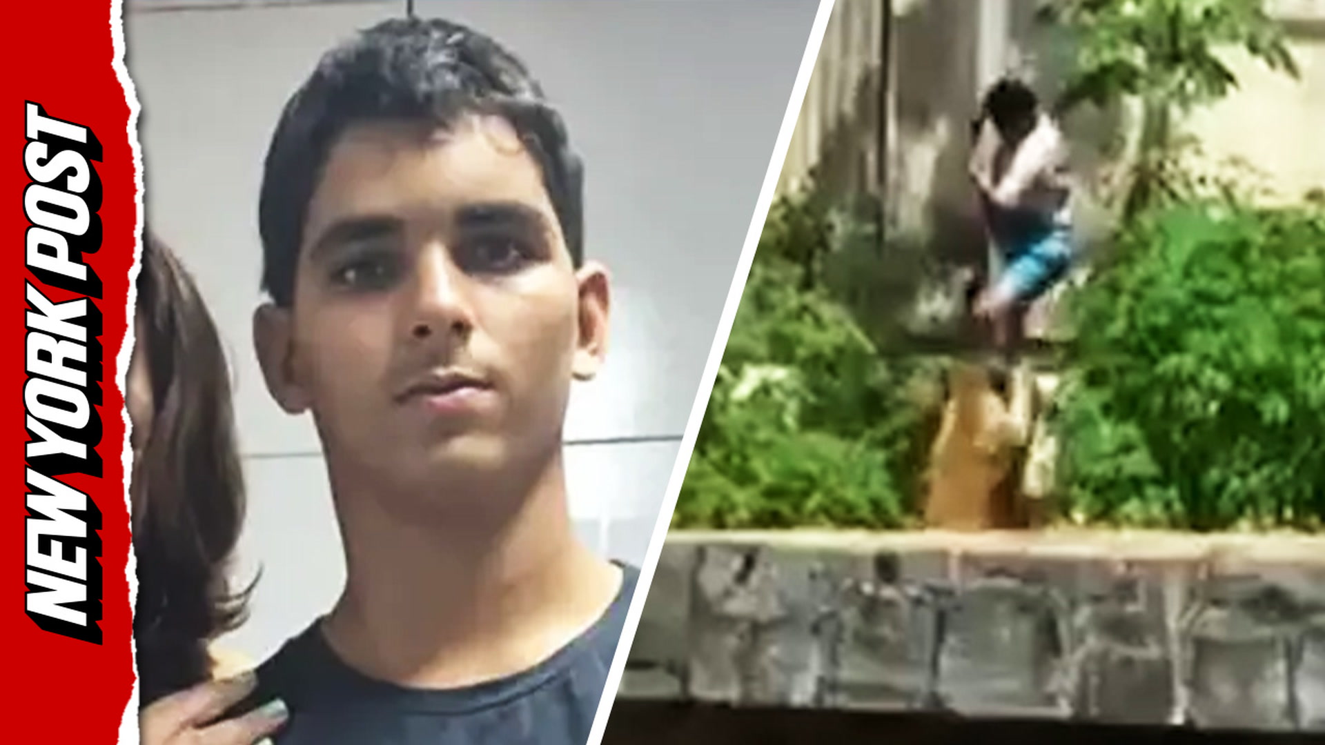 Teen who dreamed of working with animals mauled to death by lion after ...